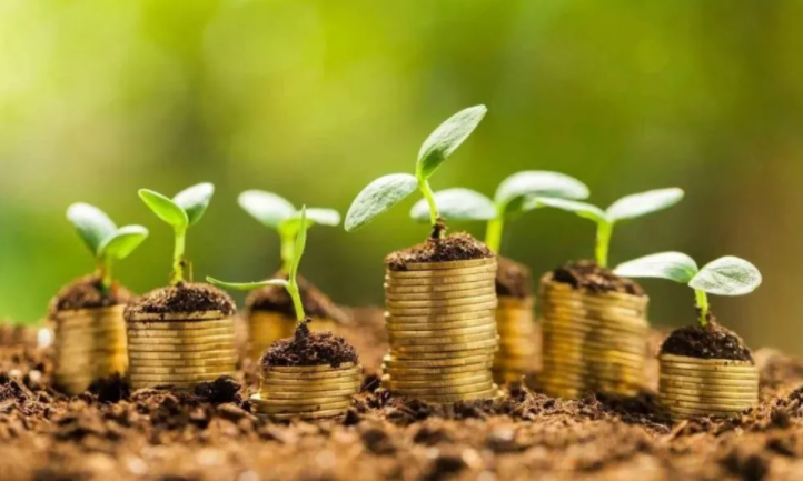 兩會(huì)前瞻 | “碳中和”概念下的投資機(jī)會(huì)