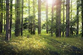 地方版碳達峰路線圖密集出爐