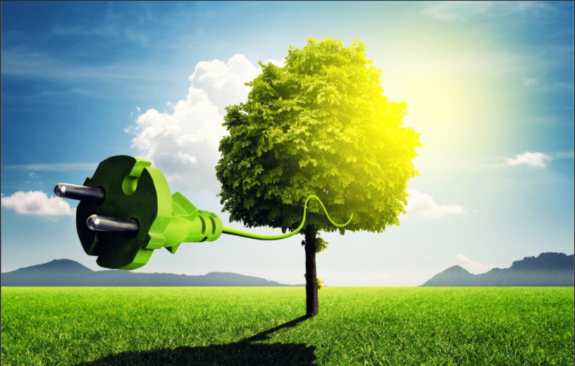 提升林草碳匯潛力 助力碳達峰碳中和目標