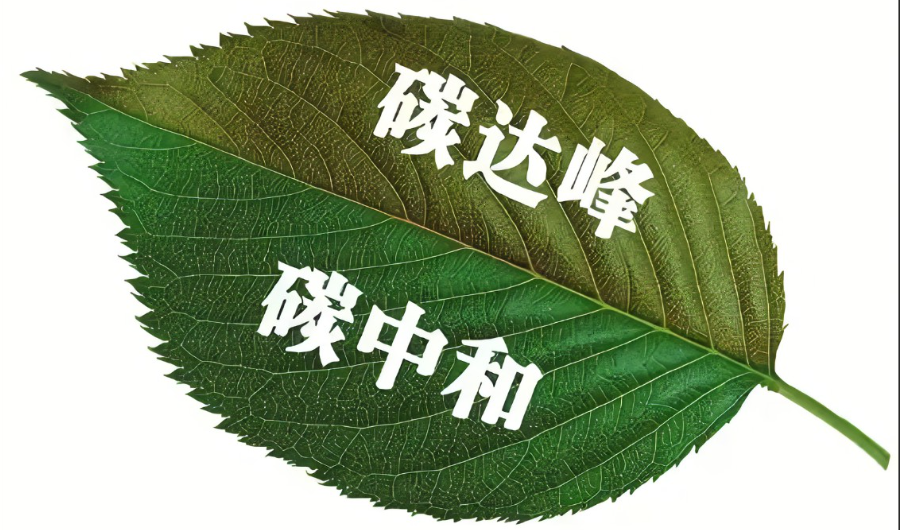 如何有序推動碳達峰碳中和